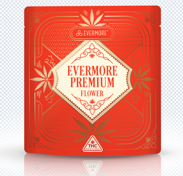 Midnight Circus Evermore