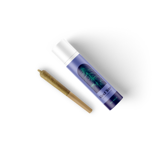 Cannabis Promo, Cannabis Sales, Cannabis Discounts, Cannabis on Sale, Last Chance Up To 20% Off! While Supplies Last! 2