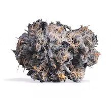 Cherry Chem T1