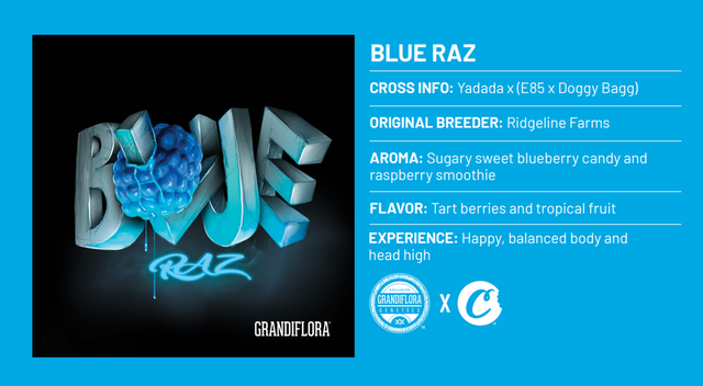 Blue Raz Cookies