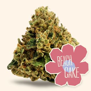 Beach Cake District Cannabis