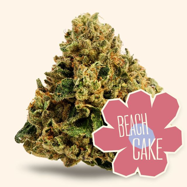 Beach Cake District Cannabis