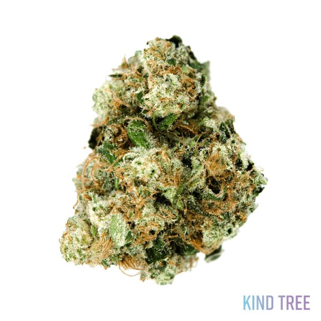 Apple Crisp Kind Tree