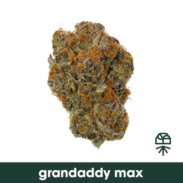 Grandaddy Max Grassroots
