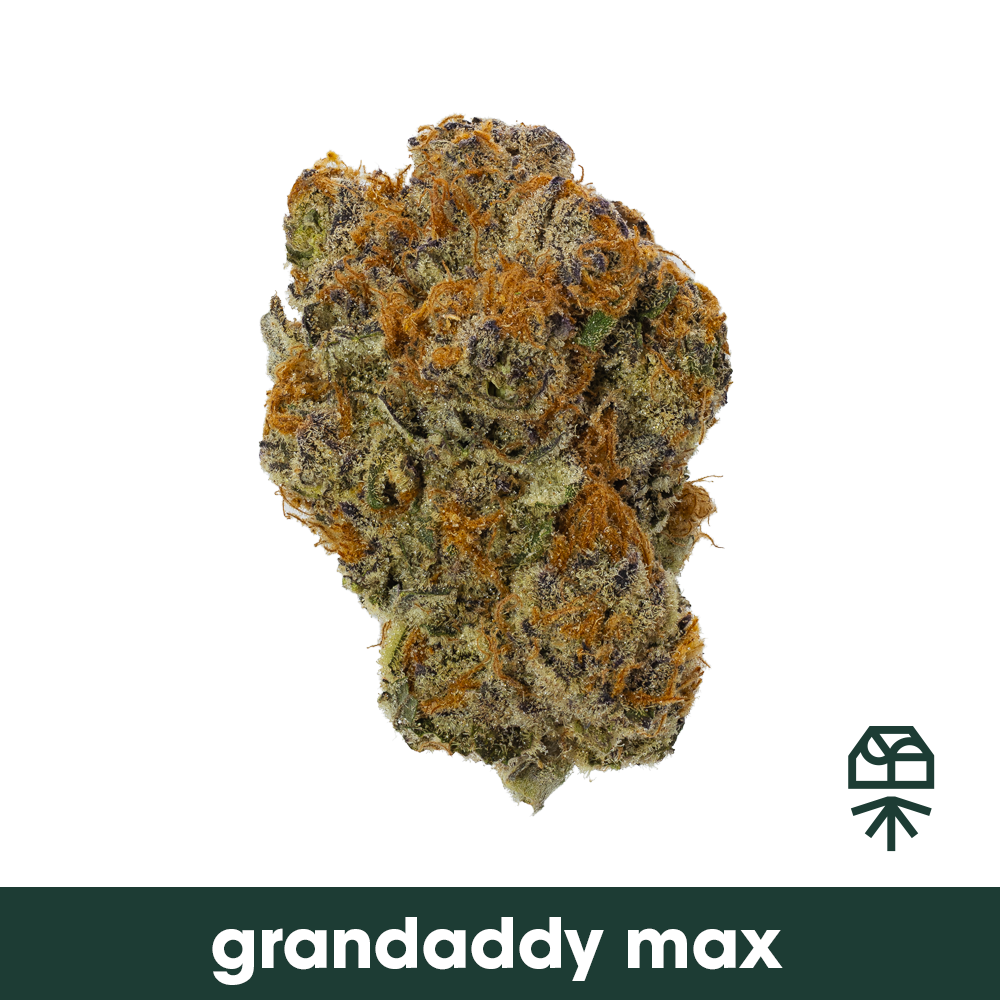 Grandaddy Max