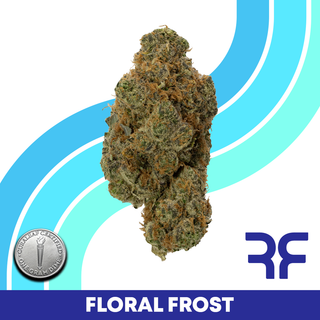 Floral Frost Reef