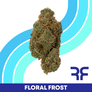 Floral Frost Reef