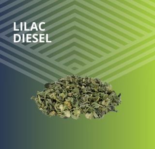 Lilac Diesel Pure Dakota