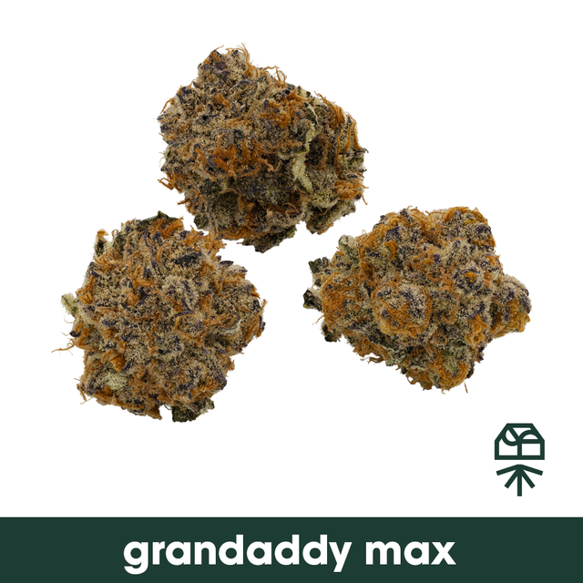 Grandaddy Max Grassroots