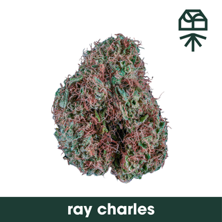 Ray Charles Grassroots