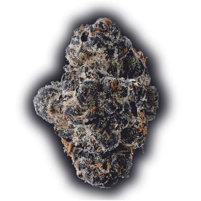 Spritzer District Cannabis