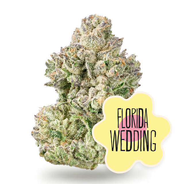 Florida Wedding District Cannabis