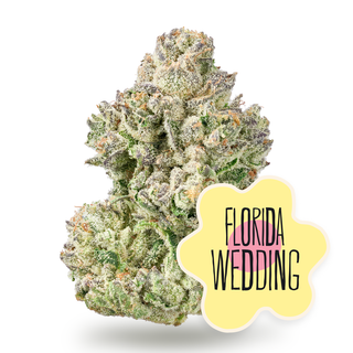 Florida Wedding District Cannabis