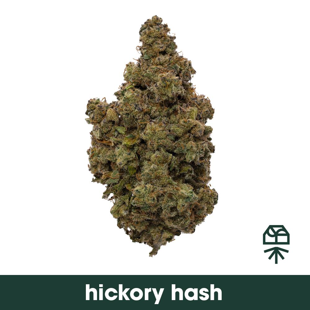 Hickory Hash 14g Smalls | Curaleaf Ellsworth, ME | Medical Cannabis