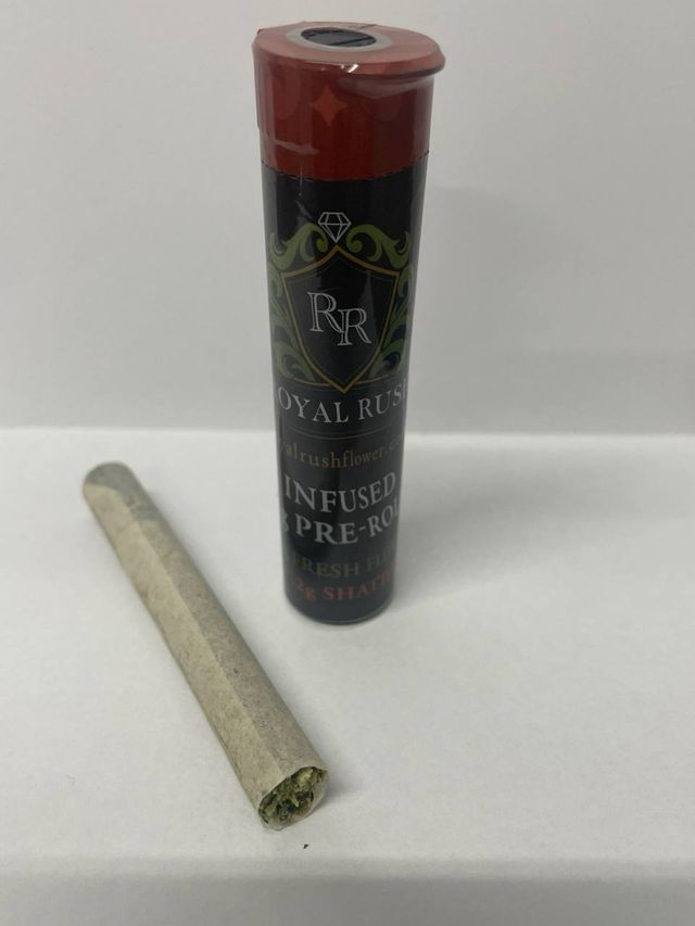 G33 x Animal Punch Royal Rush