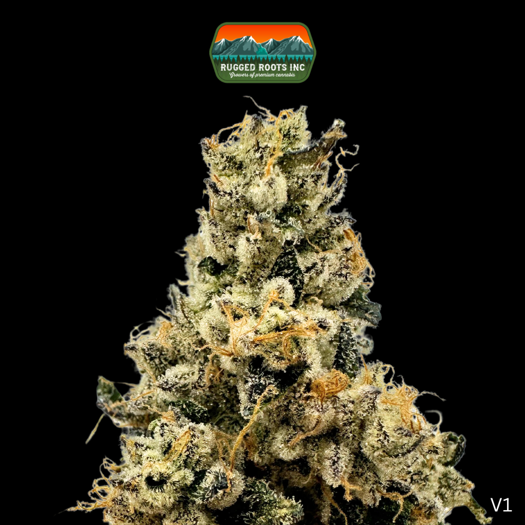 First Class Gas