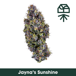 Jayna's Sunshine Grassroots
