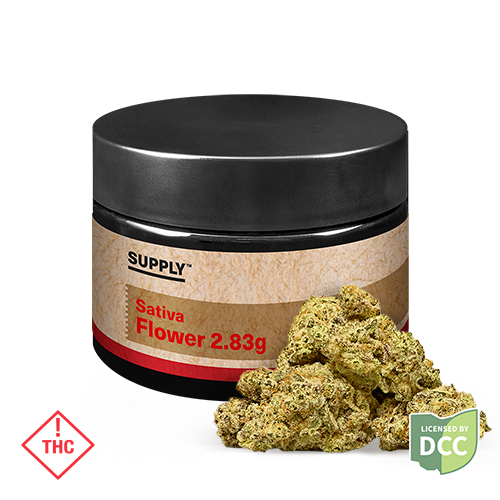 GMO x Papaya Supply