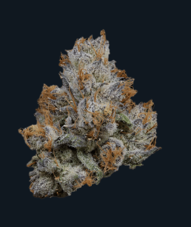 Lemon Cherry Gelato, Klutch