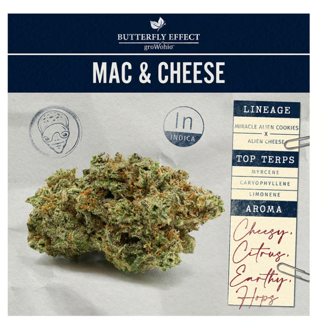 Mac & Cheese Butterfly Effect