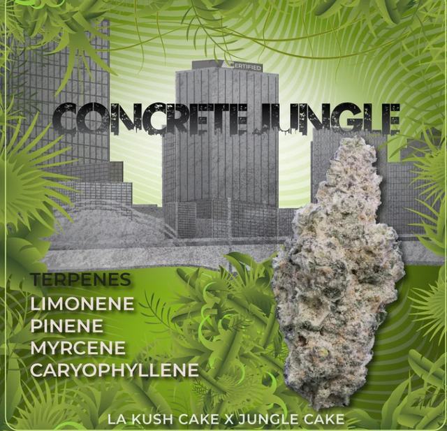 Concrete Jungle Certified
