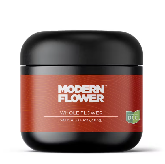 Earthquake Modern Flower