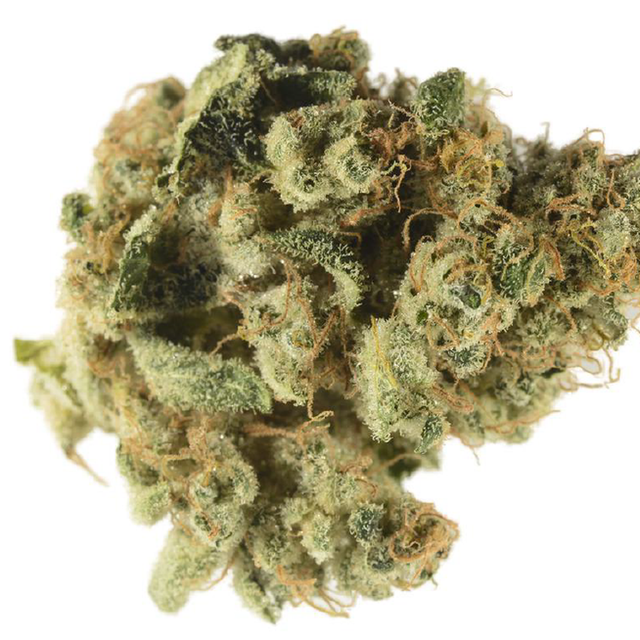 Lou's Legacy Bedford Grow