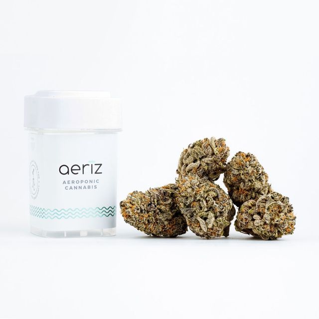 GMO Aeriz