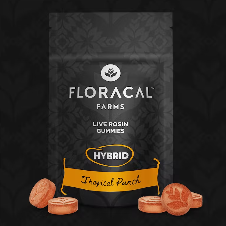 FloraCal Tropical Punch Live Rosin Gummies 10mg ea | 10-Pack