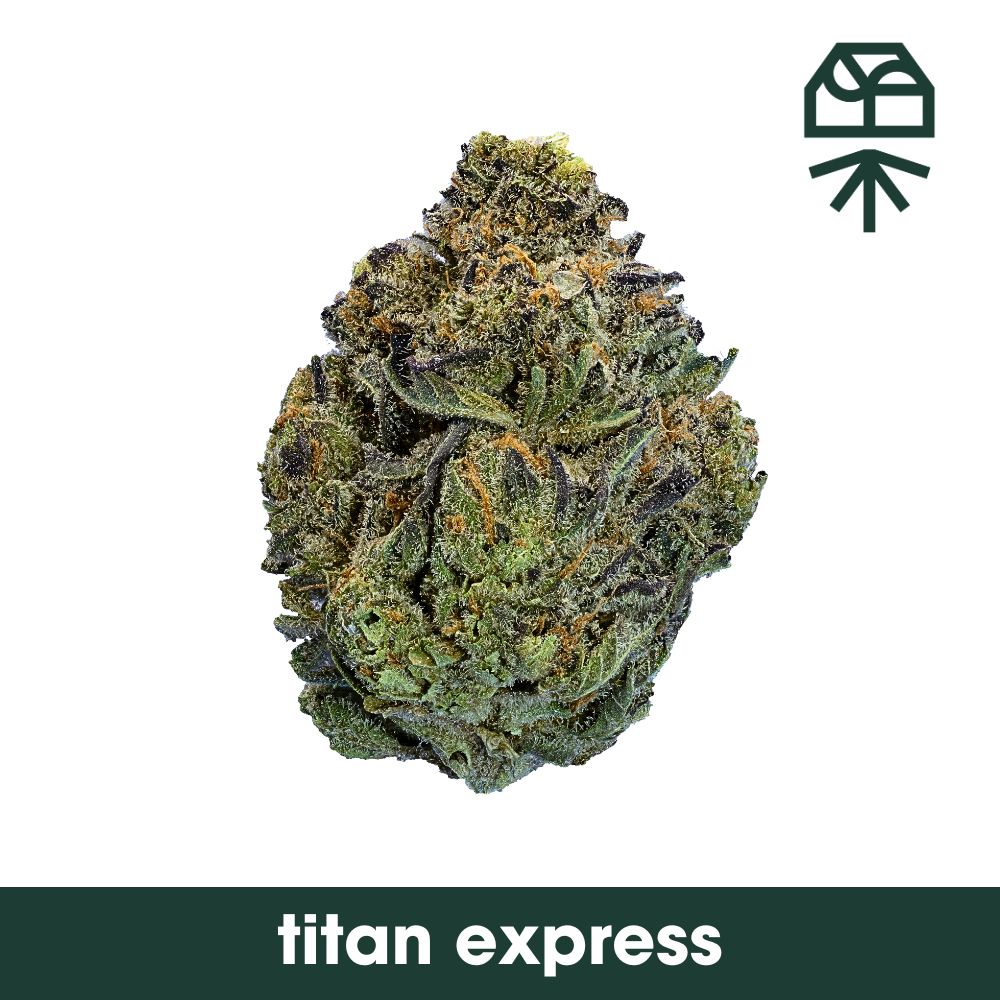 Grassroots Titan Express Diamond Infused Whole Flower 3.5g