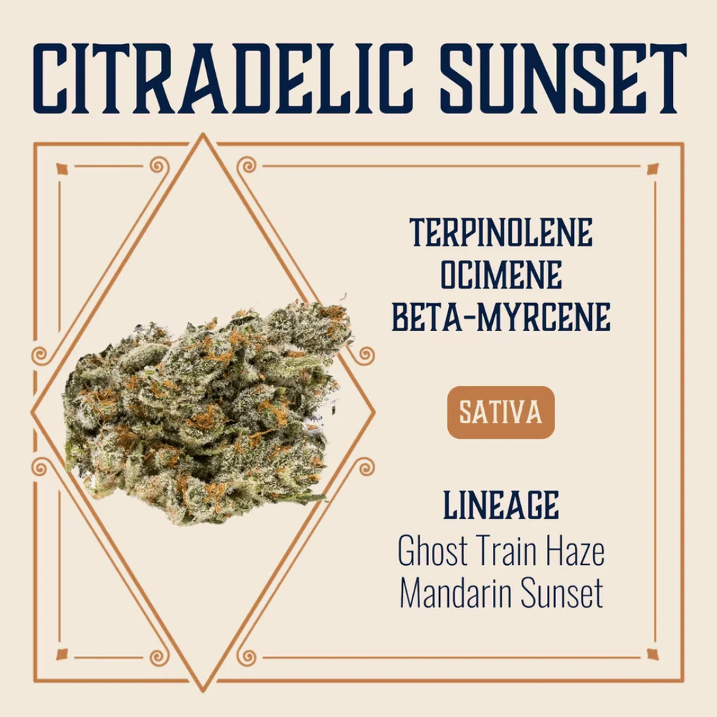 Citradelic Sunset