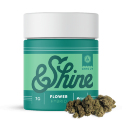 Monkey Bread &Shine