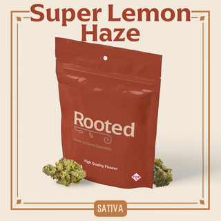 Super Lemon Haze Rooted