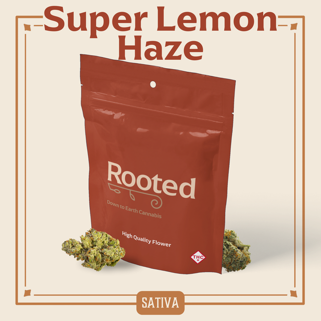 Super Lemon Haze Rooted
