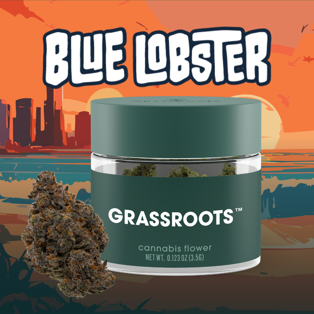 Grassroots Blue Lobster Diamond Infused Whole Flower 3.5g