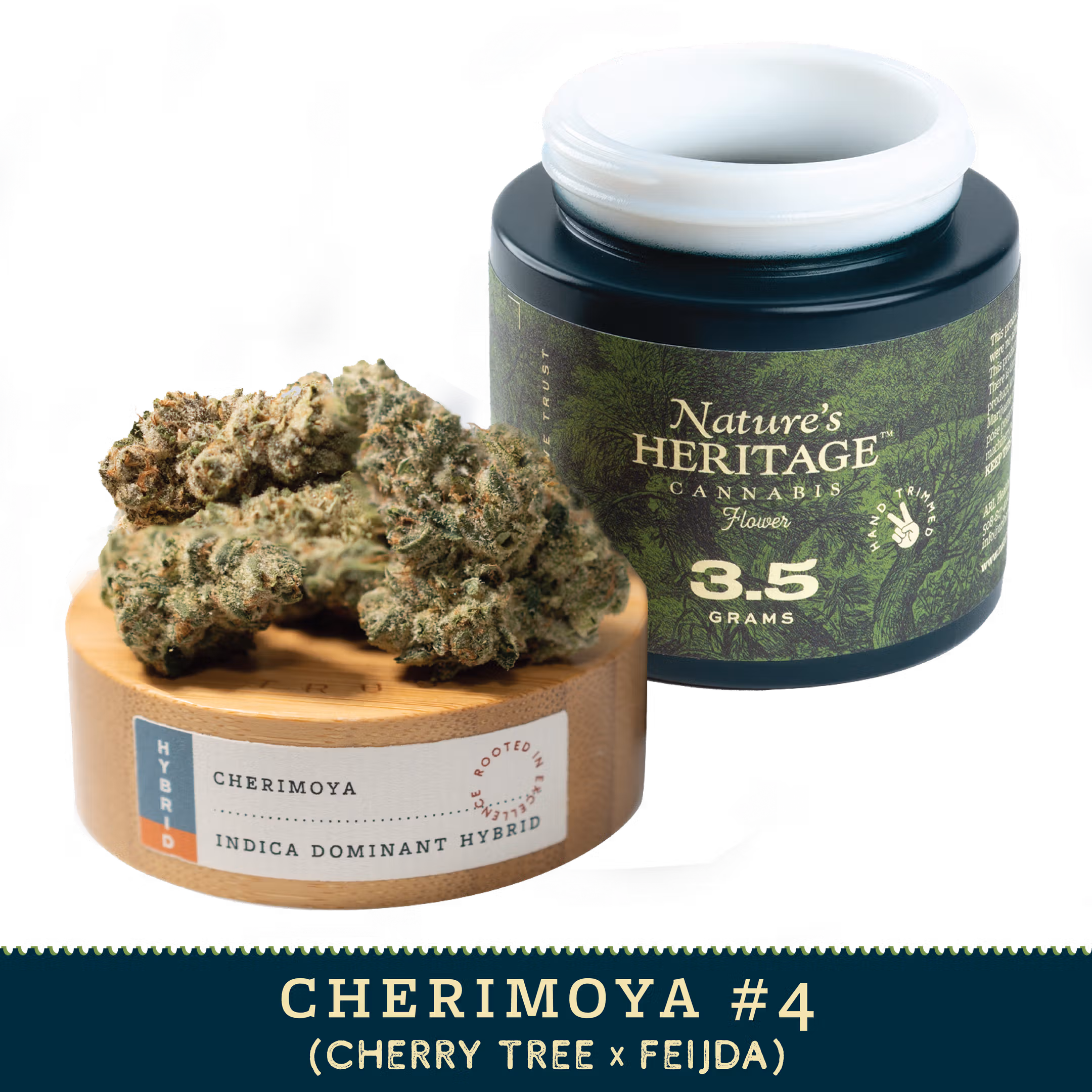 Cherimoya #1