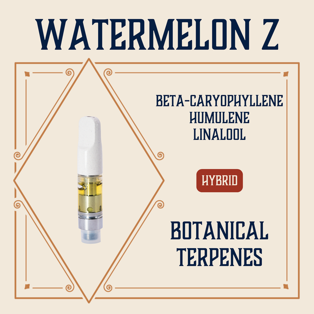 Watermelon Z Elevate