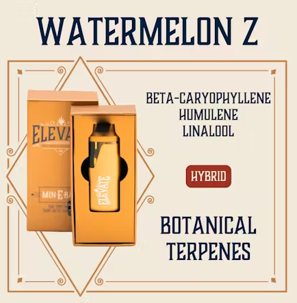 Watermelon Z Elevate