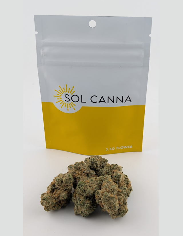 Wingsuit Sol Canna
