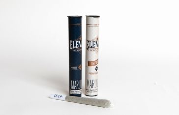 Cereal Milk Elevate