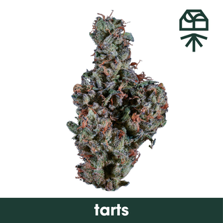 Tarts Grassroots