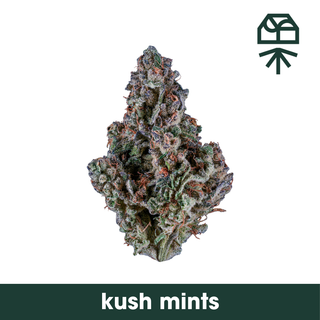 Cannabis Promo, Cannabis Sales, Cannabis Discounts, Cannabis on Sale, Touch Grass - 35% OFF Grassroots/Find. 2