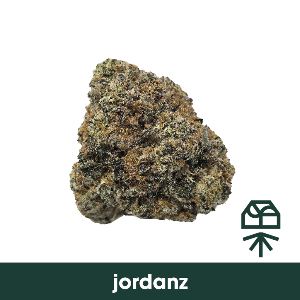 Jordanz