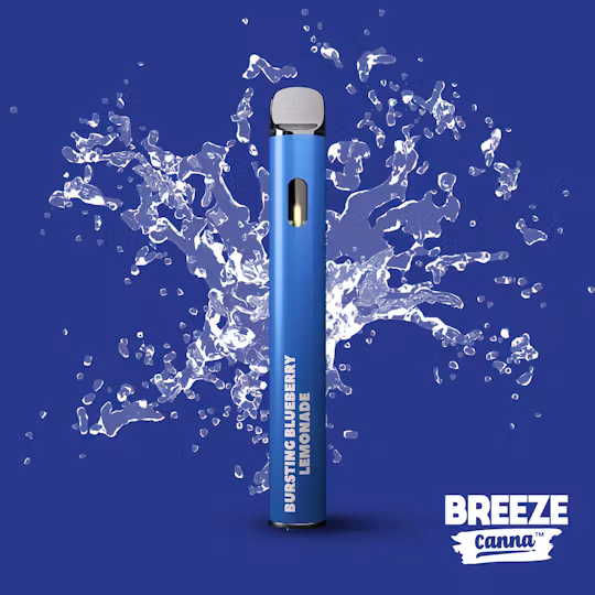 Blueberry Lemonade Breeze Canna
