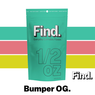 Bumper OG Find. Bumper OG Find.
