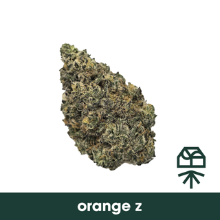 Orange Z Grassroots