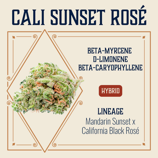 Cali Sunset Rosé Elevate