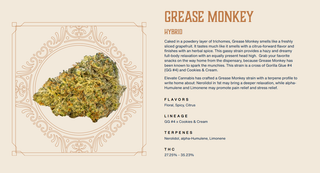 Grease Monkey Elevate