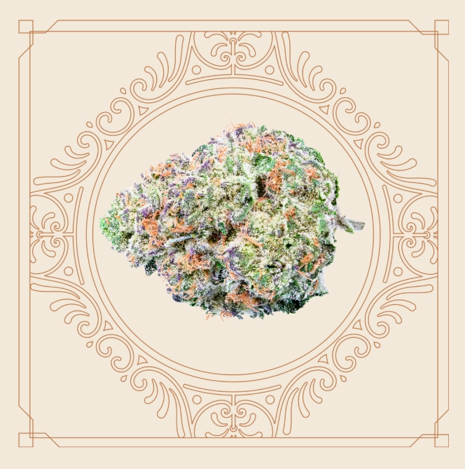 Platinum Lemon Cherry Gelato