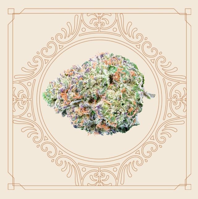 Platinum Lemon Cherry Gelato Elevate